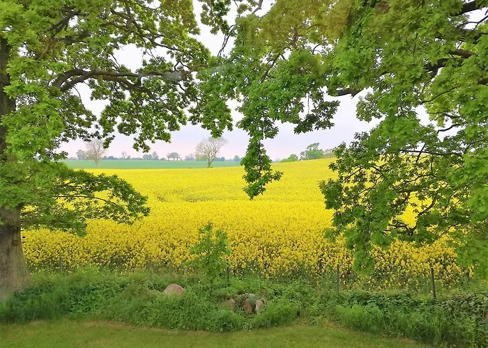 Appartamento Taubennest *